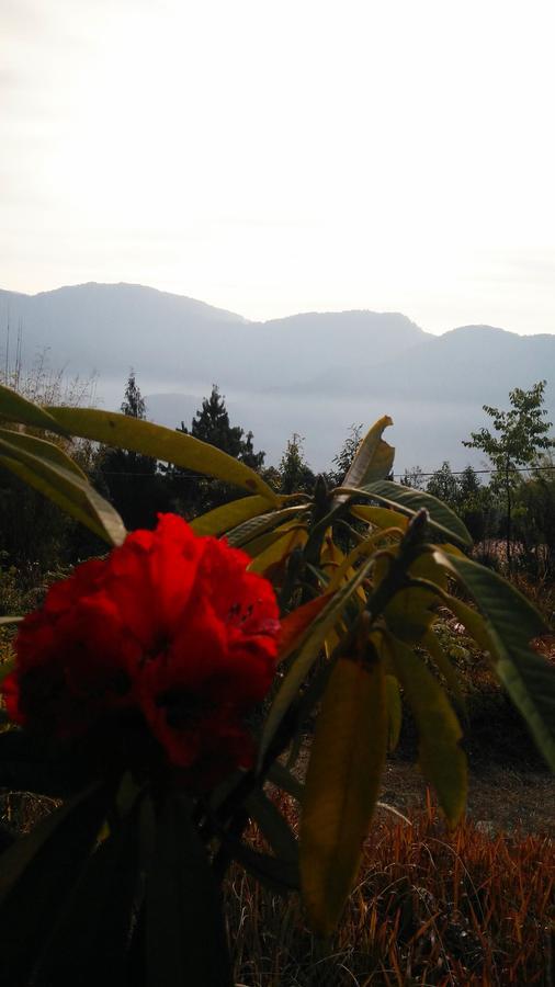 Отель Neora Valley Retreat Rishop Экстерьер фото